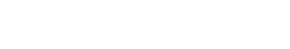 WiseCX